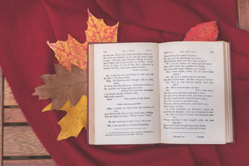 Naklejka na ściany i meble An open book on a pile of fall leaves and a red blanket
