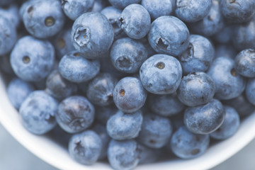 A pile of freshly picked blueberries