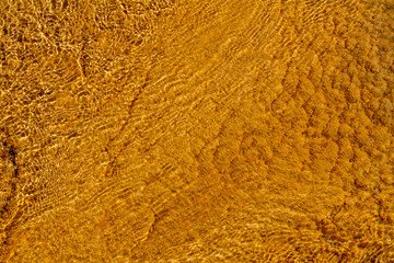 Golden Yellow Thermal Pool in Yellowstone National Park