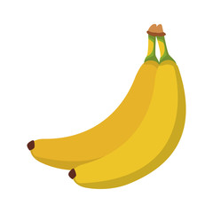 Banana fruit isolated vector illustration graphic design