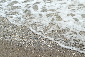 Soft wave of the sea and shells