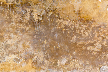 Crusty Peeling Paint on an Ancient Stone Wall in Antwerp, Belgiium