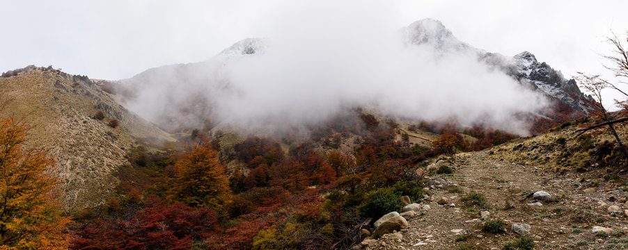 Autumn On The Patagonian Andes