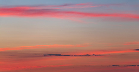 background. defocus. evening sunset in pink / orange colors