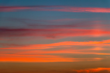 Obraz premium background. defocus. evening sunset in pink / orange colors