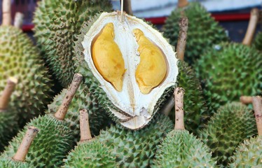 Durian fruit, regarded by many people in Southeast Asia as the "king of fruits"