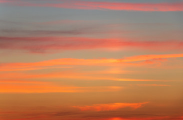 background. defocus. evening sunset in pink / orange colors