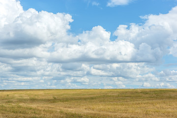Obraz premium Clouds over a field of mowed grass