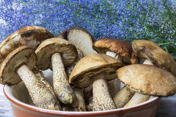 background. white mushrooms in a brown bowl on a background of blue wildflowers