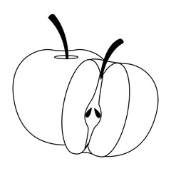 Apples fruit isolated vector illustration graphic design