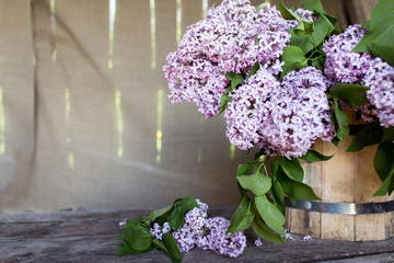 lilac bouquet