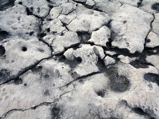 Volcanic stone texture washed by years of ocean water