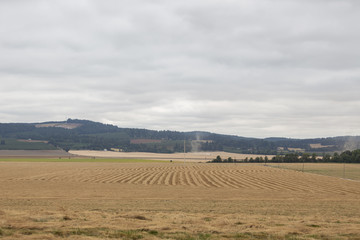 Farmers fields. Rows of cut grass. Panorama view.