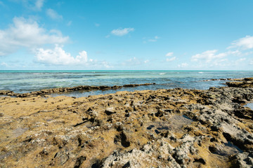 Paradise coral tropical Beach in Brazil, Carneiros Beach, Pernambuco