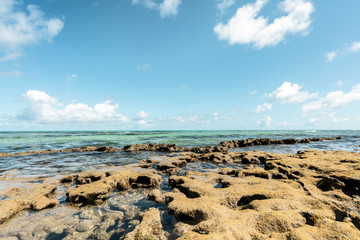 Paradise coral tropical Beach in Brazil, Carneiros Beach, Pernambuco