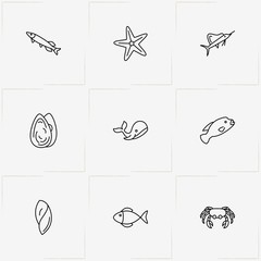 Undersea World line icon set with swordfish , conch  and whale
