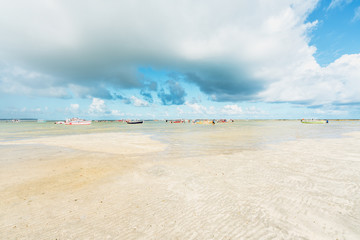 Paradise tropical Beach with boats in Brazil, Carneiros Beach, Pernambuco