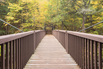 Fototapeta na wymiar A bridge stretching into a forest of trees with yellow fall color