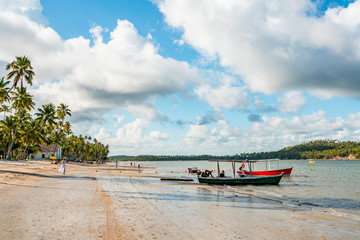 Paradise tropical Beach in Brazil, Carneiros Beach, Pernambuco