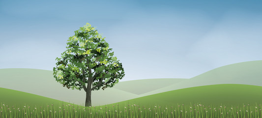 Obraz premium Tree in green grass hill area with blue sky. Abstract background park and outdoor for landscape idea. Use for natural article both on print and website. Vector.