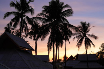 Beautiful sunset over palm trees and buildings near beach in Thailand
