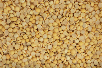 soybeans yellow background , dry peas nut