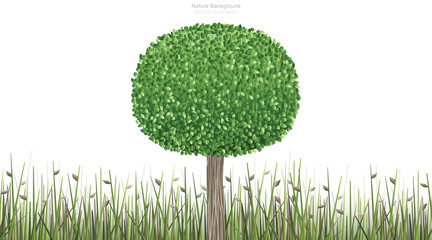 Naklejka premium Round of green tree in natural green field area and white background. Vector.