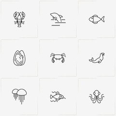 Undersea World line icon set with jellyfish , dolphin and crab - 213154319