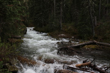 Fototapeta premium Montana River