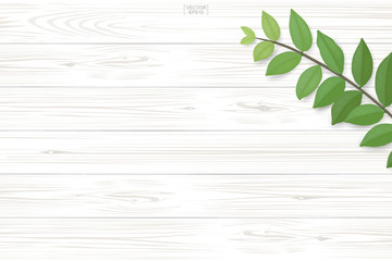 Wood plank pattern and texture with green leaves for natural  background. Abstract background for product presentation. Realistic vector.