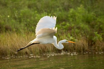 In flight