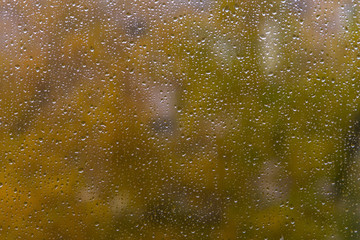 Raindrops  on the window / weather characteristic autumn