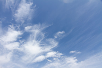 Fototapeta premium 空と雲