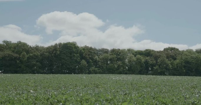 Time lapse footage of a field imn the English countryside. Timelapse mixed with slowmotion footage.