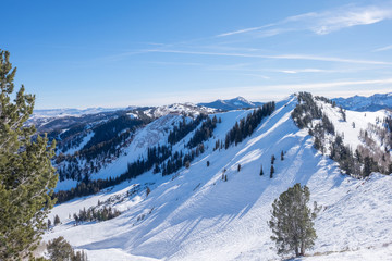 Fototapeta na wymiar Skiing on a mountain - vista point - panorama - back country - no boundaries