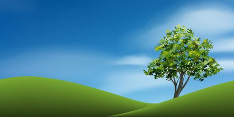 Tree on green grass hill with blue sky. Abstract background park and outdoor for landscape idea. Use for natural article both on print and website. Vector.