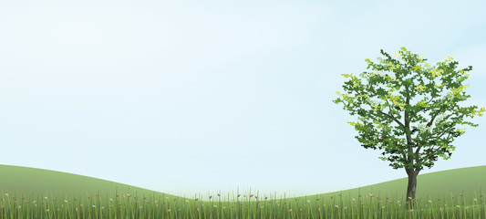 Tree in green grass hill area with blue sky. Abstract background park and outdoor for landscape idea. Use for natural article both on print and website. Vector.
