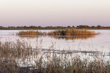Wide view of Lake Korission, Corfu island, Greece and a black-necked Stilt