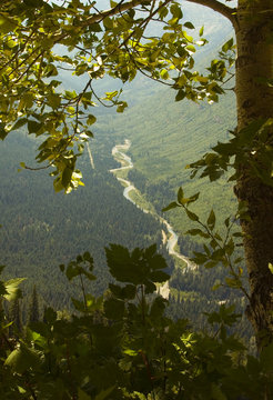 Flathead River in Glacier National Park