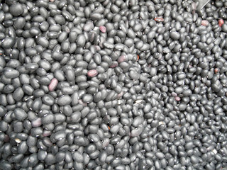 Pile of black beans for background