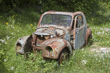 Rostlaube in freier Natur