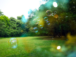 Background texture of colorful transparent soap bubbles flying above green grass in park with trees in a sunny day.  Copy space for text. Concept of happy days, romance and freshness.