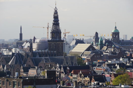 The Amsterdam Life