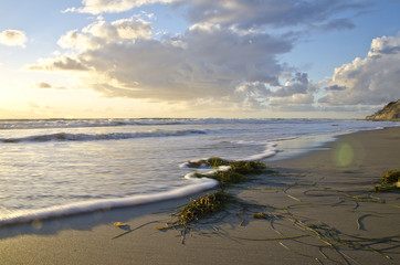 A soft rolling wave on the beach of the carlsbad beach. 