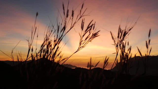 Before sunrise on Mount Tapyas. beautiful sunrise with foreground