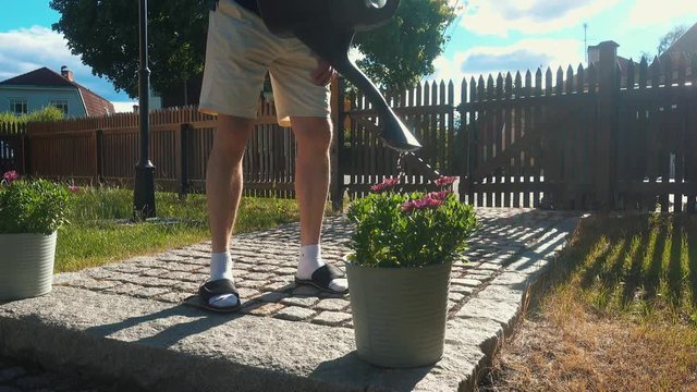 Man watering plants in the swedish summer wearing summerwear