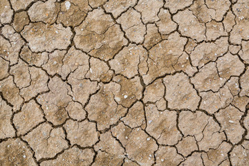 Dry cracked earth background, clay desert texture