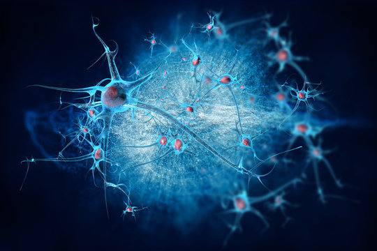 Neurons cell brain on science background