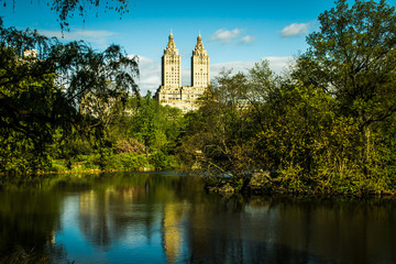 Central Park - New York