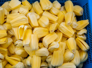 Fresh sweet jackfruit segment ready for eat. Cutting jackfruit. Vegetarian, vegan, raw...